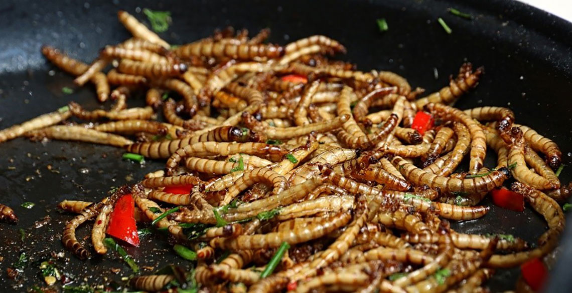 Insects in a frying pan