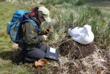 picture of Alexandra working in the field