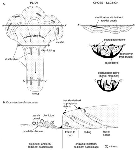 Conceptual models of how sediment is entrained, transported and deposited in a typical Svalbard valley glacier. The structural controls are depicted, notably folding and thrusting (based on article by Hambrey & Glasser in Encyclopedia of Sediments and Sedimentary Rocks, 2003).