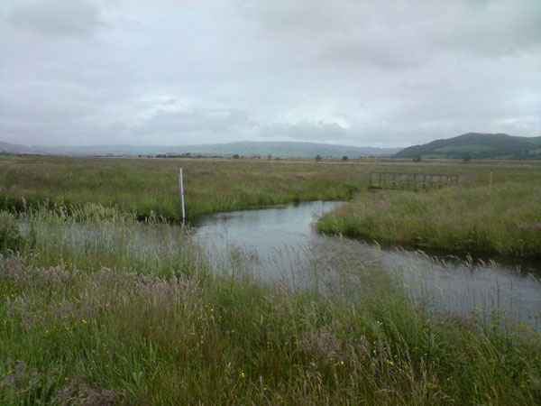 Teifi_bankfull