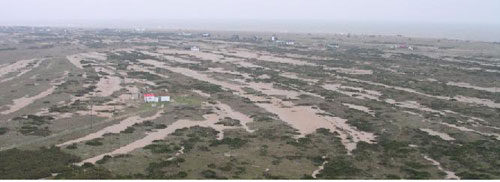 Dungeness Foreland