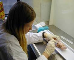Isobel Bowers in lab