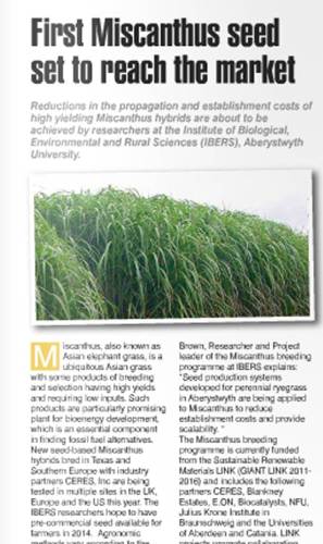 IBERS Miscanthus research in the news.