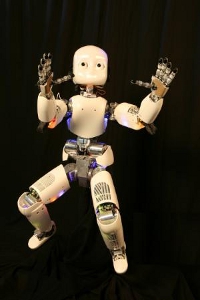 iCub - The Humanoid Robot