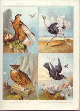 Animals and Birds of the Bible