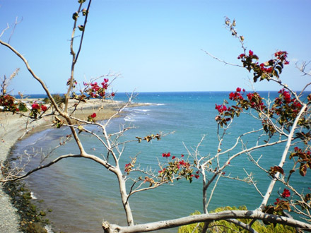 canary islands beach