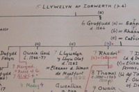 Part of the family tree of Llywelyn ap Iorwerth