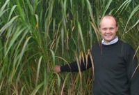 Dr. John Clifton-Brown with Miscanthus, which is also known as Elephant Grass.