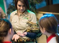 Science is fun: pupils come face to face with a snake during at the 2014 Science Festival