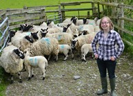 Sarah Beynon IBERS PhD student with Beulah sheep