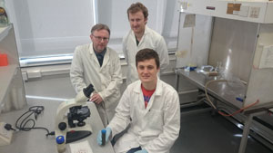 The Wales rumen and liver fluke project team at IBERS:  Professor Peter Brophy, Dr Hefin Williams and PhD student Rhys Aled Jones