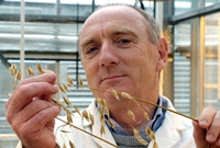Professor Athole Marshall,who led the oat breeding programme with Senova at IBERS which is shortlisted for a Business and Education Partnership Award