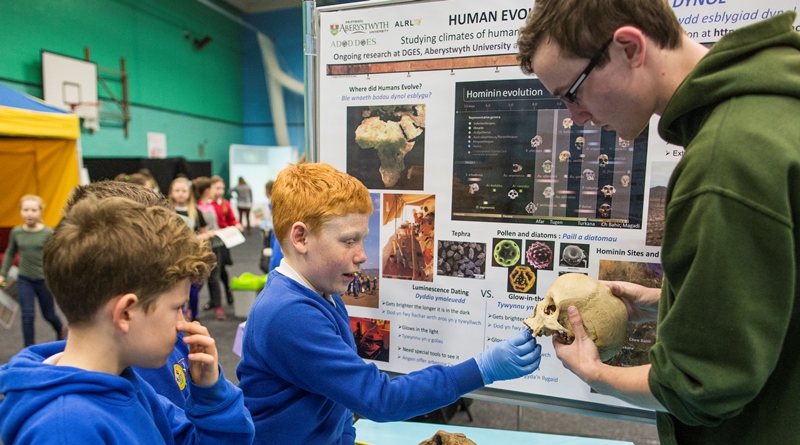 Human evolution is the theme for one of more than 30 exhibitions at the Aberystwyth University British Science Week science fair.