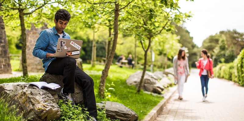 Aberystwyth University has received the Green Flag Award for the third year running.