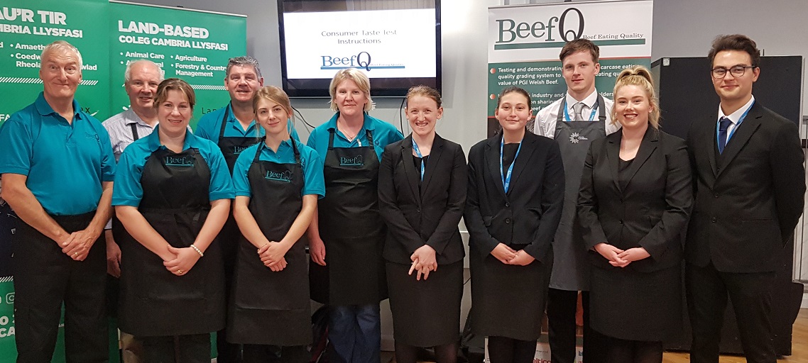 The BeefQ project team joined catering students at Llysfasi Coleg Campus, Coleg Cambria on 3 October to serve Welsh Beef samples to taste test volunteers.