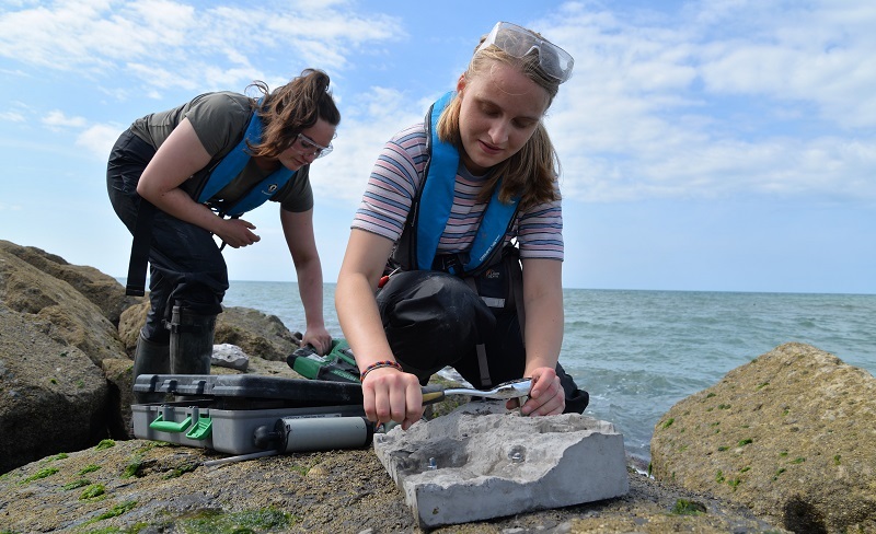 Researchers from the Ecostructure team at IBERS have been attaching specially-designed experimental tiles to natural and man-made sea defences in Borth near Aberystwyth to create new habitats for marine life.