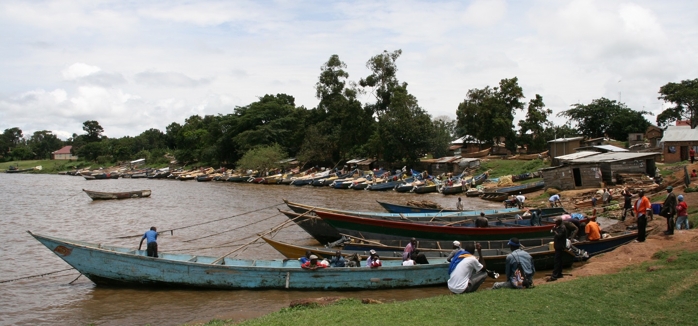 Schistosomiasis affects 240 million people around the world and is caused by parasitic flatworms known as schistosomes which are found in lakes in tropical areas of Africa, Asia and South America