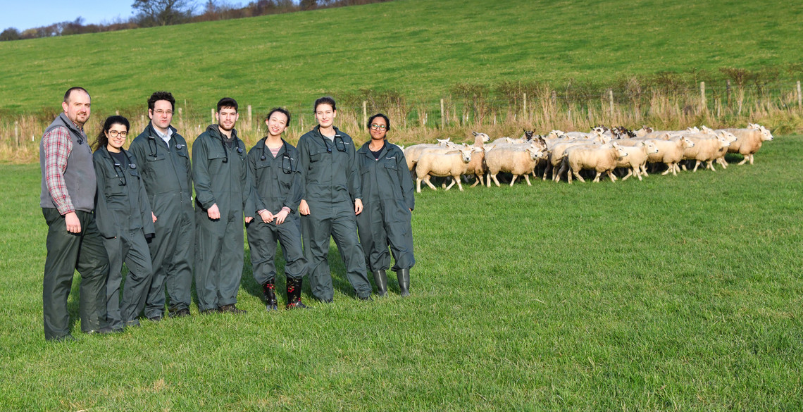 Aberystwyth School of Veterinary Science