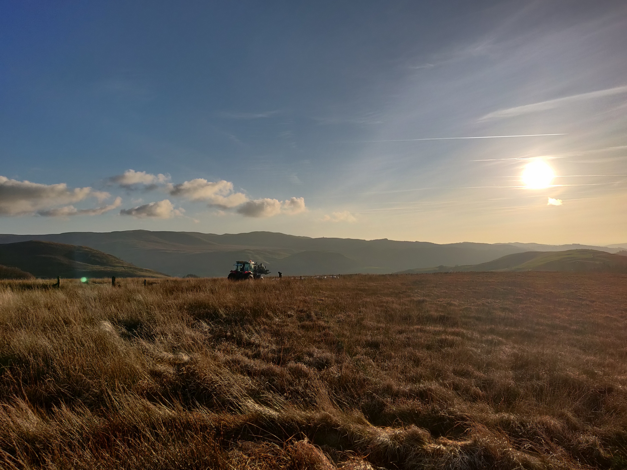 Peatland research site, Aberystwyth University