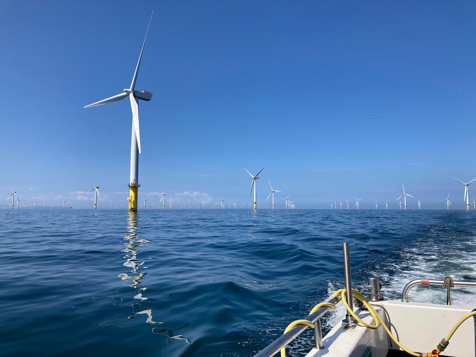 Offshore wind farm