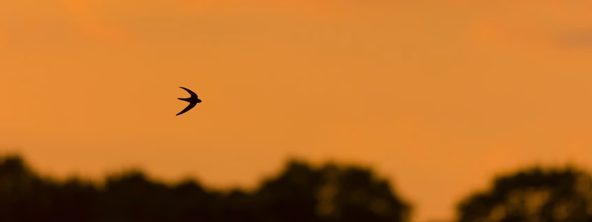 shutterstock. Paul Sawer/Shutterstock