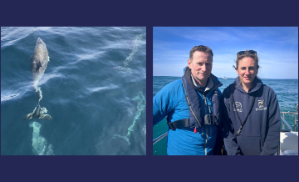 Image 1: Bottlenose dolphin defecating. Credit: Dr Sarah Perry, Wildlife Trust of South and West Wales. Photo for one time use only.
Image 2: Dr David Wilcockson from Aberystwyth University and project leader Dr Sarah Perry from the Wildlife Trust for South and West Wales. Credit: Aberystwyth University
