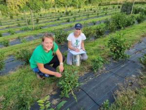 Dr Amanda J Lloyd and Dr Ali Warren-Walker gathering samples at Dartmoor Estate Tea in Deveon.