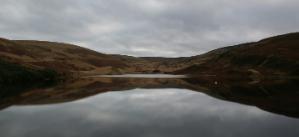 Photo by michael podger on Unsplash