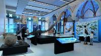 An artist’s impression of an exhibition in the Old Hall of the Old College, which will form part of the Community, Culture and Hospitality zone.