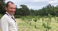 Dr Danny Thorogood at the heritage orchard, IBERS Gogerddan