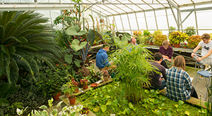 Studying Ecology at Aberystwyth University