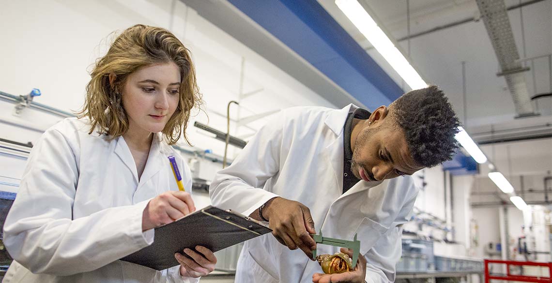 How to Choose Unviersity. Two students conducting scientific research.