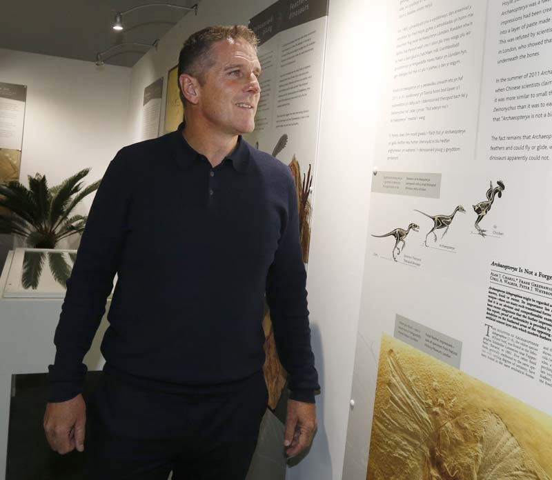 Archaeopteryx New Life for Old College , Aberystwyth