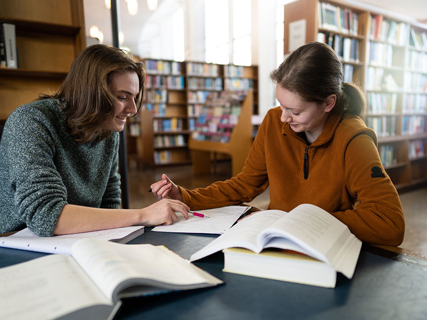 Two students studying