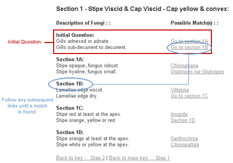 Instructions on how to use the Waxcap Key